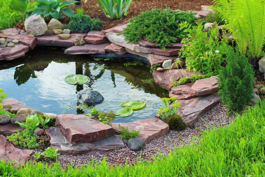 Einen Gartenteich anlegen