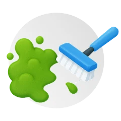 Algen- und Moosentfernung: